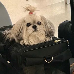 Meet your Posher, Linda